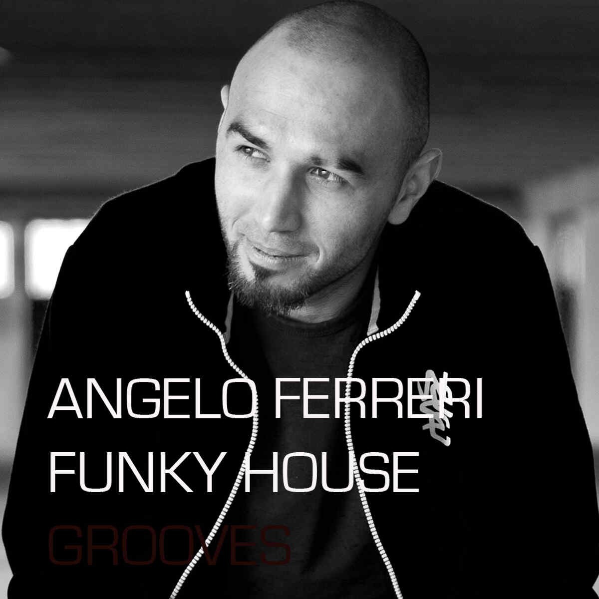 Bingoshakerz - Angelo Ferreri: Funky House Grooves Sample Packs Software GUI Artwork